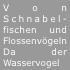 Von Schnabel-fischen und Flossenvögeln Da